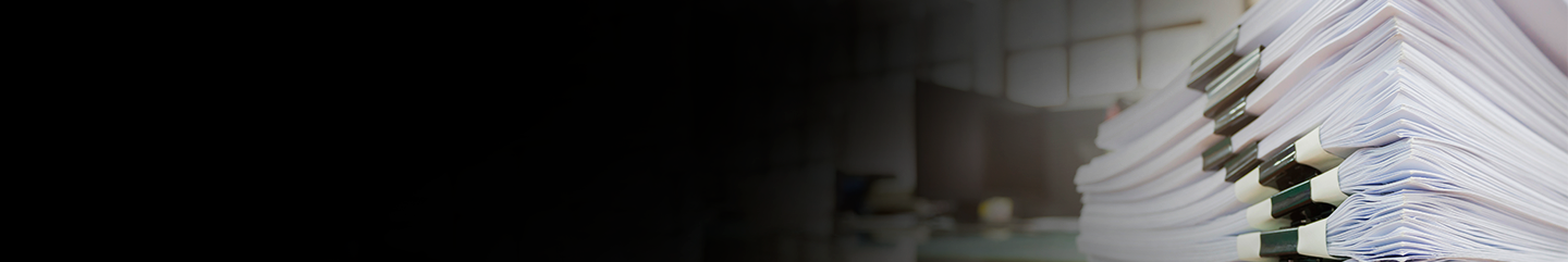 document header document header