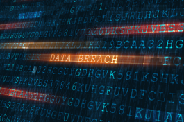 Domain: Cyberspace