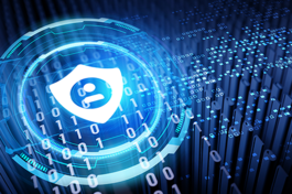 CSfC Series: Data-at-Rest Capability Package 4.8 CSfC Series: Data-at-Rest Capability Package 4.8