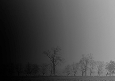 Wright brothers Wright brothers