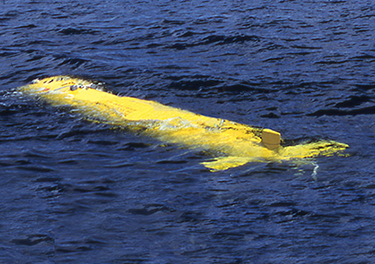Small Form Factor Mission Systems: Driving Forward the Development of Next Generation UUVs